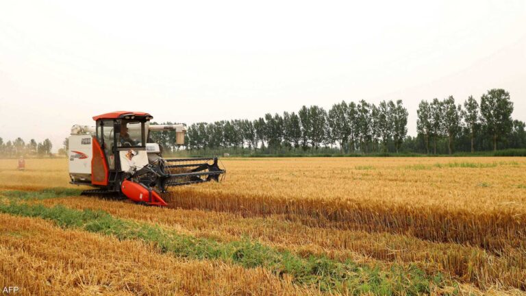 %d8%a7%d9%84%d8%b5%d9%8a%d9%86 %d8%a5%d9%86%d8%aa%d8%a7%d8%ac %d8%a7%d9%84%d8%ad%d8%a8%d9%88%d8%a8 %d9%8a%d8%b5%d9%84 %d9%84%d8%a3%d8%b9%d9%84%d9%89 %d9%85%d8%b3%d8%aa%d9%88%d9%89 %d8%b9%d9%84%d9%89