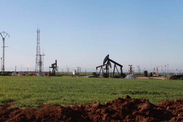 %d9%85%d8%b5%d9%81%d8%a7%d8%a9 %d8%a8%d8%a7%d9%86%d9%8a%d8%a7%d8%b3 %d8%a7%d9%84%d8%b3%d9%88%d8%b1%d9%8a%d8%a9 %d8%aa%d8%ae%d8%b1%d8%ac %d8%b9%d9%86 %d8%a7%d9%84%d8%ae%d8%af%d9%85%d8%a9 %d8%a5%d8%ab