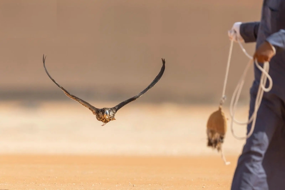 %d8%a7%d9%84%d9%86%d8%aa%d8%a7%d8%a6%d8%ac %d9%83%d8%a7%d9%85%d9%84%d8%a9 %d8%a5%d9%82%d8%a7%d9%85%d8%a9 7 %d8%a3%d8%b4%d9%88%d8%a7%d8%b7 %d8%aa%d8%a3%d9%87%d9%8a%d9%84%d9%8a%d8%a9 %d9%84%d9%84