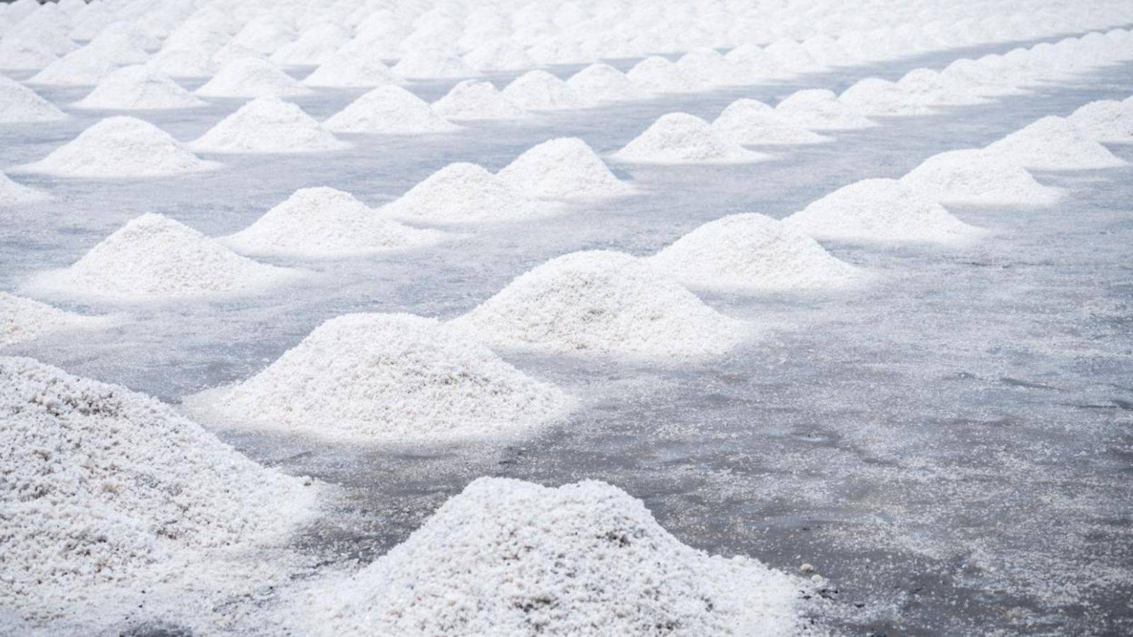 %d8%aa%d9%82%d9%86%d9%8a%d8%a9 %d8%ac%d8%af%d9%8a%d8%af%d8%a9 %d9%84%d8%a7%d8%b3%d8%aa%d8%ae%d9%84%d8%a7%d8%b5 %d8%a7%d8%ad%d8%aa%d9%8a%d8%a7%d8%b7%d9%8a%d8%a7%d8%aa %d9%87%d8%a7%d8%a6%d9%84%d8%a9