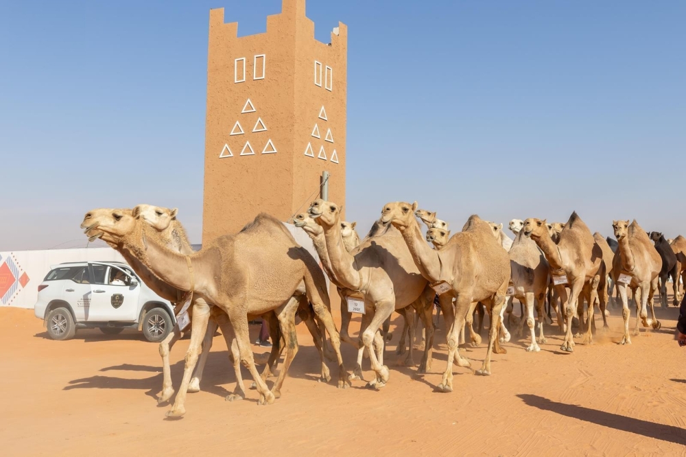 %d9%82%d8%a7%d8%a6%d9%85%d8%a9 %d9%86%d8%aa%d8%a7%d8%a6%d8%ac %d8%a7%d9%84%d9%81%d8%a7%d8%a6%d8%b2%d9%8a%d9%86 %d9%81%d9%8a %d9%85%d8%b3%d8%a7%d8%a8%d9%82%d8%a7%d8%aa %d8%a7%d9%84%d9%8a%d9%88%d9%85