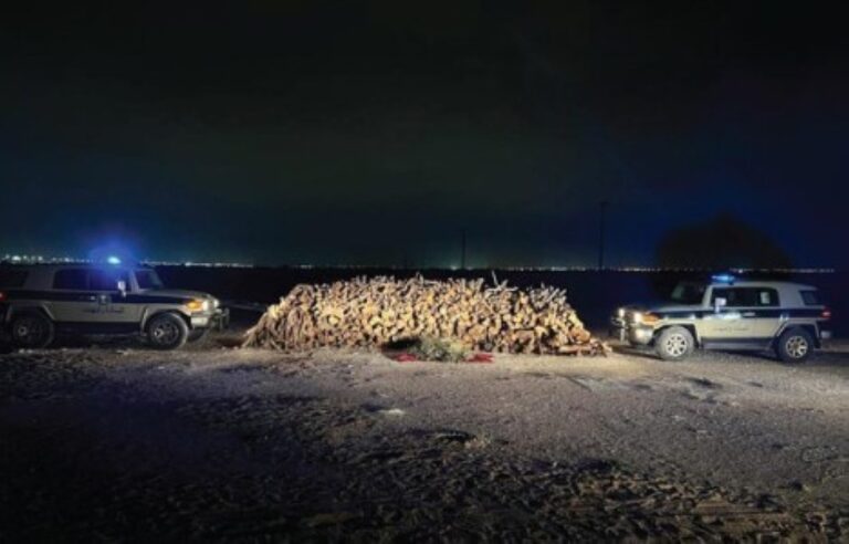 %d8%a7%d9%84%d9%82%d8%a8%d8%b6 %d8%b9%d9%84%d9%89 %d8%b4%d8%ae%d8%b5 %d9%84%d8%aa%d8%b1%d9%88%d9%8a%d8%ac%d9%87 %d9%85%d8%a7%d8%af%d8%a9 %d8%a7%d9%84%d8%a5%d9%85%d9%81%d9%8a%d8%aa%d8%a7%d9%85%d9%8a