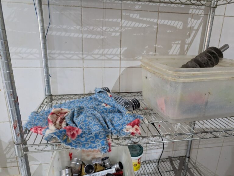 %d8%b6%d8%a8%d8%b7 %d9%85%d8%b9%d9%85%d9%84 %d9%85%d8%ae%d8%a8%d9%88%d8%b2%d8%a7%d8%aa %d9%88%d9%85%d8%b5%d8%a7%d8%af%d8%b1%d8%a9 1 9 %d8%b7%d9%86 %d9%85%d9%86 %d8%a7%d9%84%d9%85%d9%88%d8%a7%d8%af