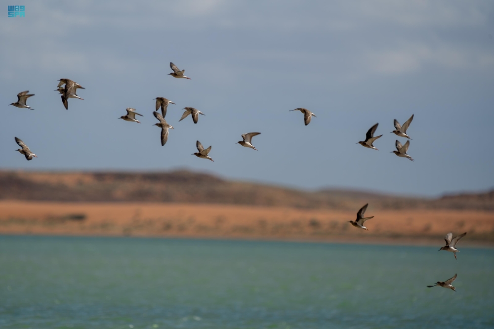 %d8%a8%d8%a7%d9%84%d8%a3%d8%b1%d9%82%d8%a7%d9%85 %d8%a5%d9%86%d8%ac%d8%a7%d8%b2 %d8%a7%d8%b3%d8%aa%d8%b1%d8%a7%d8%aa%d9%8a%d8%ac%d9%8a %d8%ac%d8%af%d9%8a%d8%af %d9%84%d9%87%d9%8a%d8%a6%d8%a9 %d8%aa