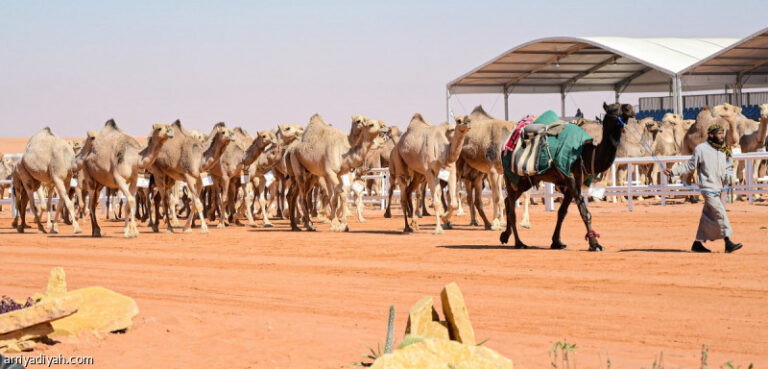 %d8%a5%d8%b7%d9%84%d8%a7%d9%82 %d8%aa%d8%b7%d8%a8%d9%8a%d9%82 %d8%a7%d9%84%d8%ba%d8%b2%d8%a7%d9%8a%d8%b2 %d9%81%d9%8a %d9%85%d9%86%d8%a7%d9%81%d8%b3%d8%a7%d8%aa %d8%a7%d9%84%d8%ac%d9%85