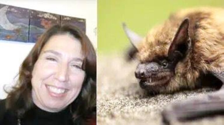 %d8%aa%d8%b3%d9%84%d9%84 %d8%a5%d9%84%d9%89 %d8%af%d8%a7%d8%ae%d9%84 %d8%a7%d9%84%d9%81%d8%b5%d9%84 %d8%b9%d8%b6%d8%a9 %d8%ae%d9%81%d8%a7%d8%b4 %d8%aa%d9%82%d8%aa%d9%84 %d9%85%d8%b9