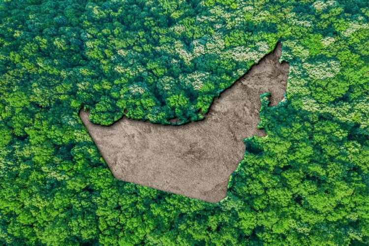 %d8%ac%d8%a7%d8%a6%d8%b2%d8%a9 %d8%b2%d8%a7%d9%8a%d8%af %d9%84%d9%84%d8%a7%d8%b3%d8%aa%d8%af%d8%a7%d9%85%d8%a9 %d8%aa%d8%ae%d8%aa%d8%a7%d8%b1 33 %d9%85%d8%b1%d8%b4%d8%ad%d8%a7%d9%8b %d9%86