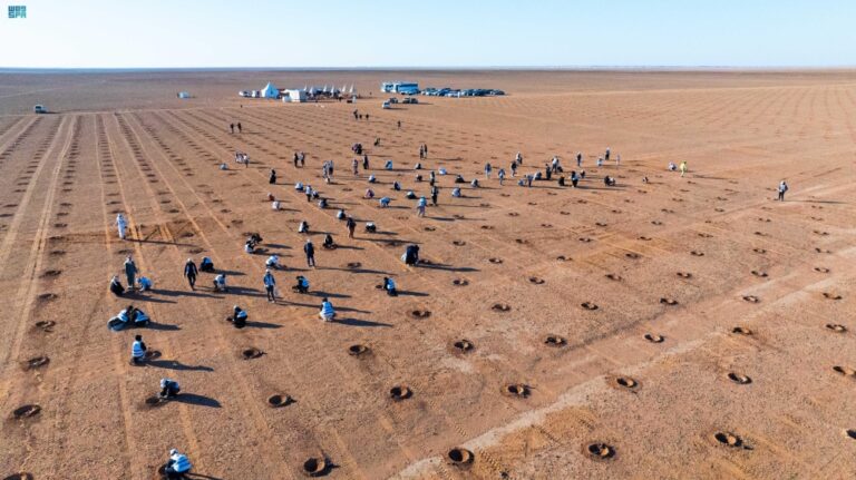 %d8%b6%d9%85%d9%86 %d9%85%d8%a8%d8%a7%d8%af%d8%b1%d8%a9 %d9%84%d8%aa%d9%86%d9%85%d9%88 %d8%b2%d8%b1%d8%a7%d8%b9%d8%a9 2000 %d8%b4%d8%aa%d9%84%d8%a9 %d9%81%d9%8a %d9%85%d8%ad%d9%85%d9%8a%d8%a9