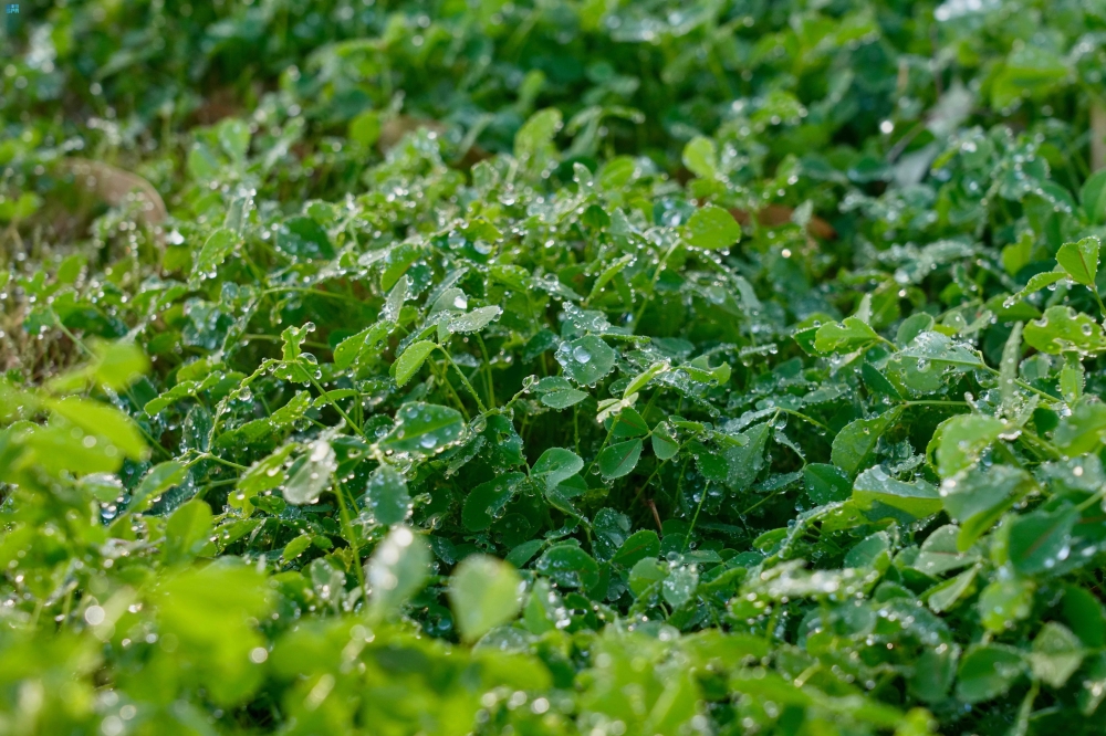 %d8%af%d8%b1%d8%ac%d8%a7%d8%aa %d8%ad%d8%b1%d8%a7%d8%b1%d8%a9 %d8%b5%d9%81%d8%b1%d9%8a%d8%a9 %d9%85%d9%88%d8%ac%d8%a9 %d8%a7%d9%84%d8%a8%d8%b1%d8%af %d8%a7%d9%84%d9%82%d8%a7%d8%b1%d8%b3%d8%a9 %d8%aa