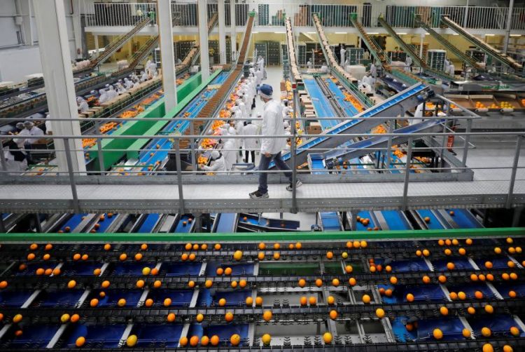 %d8%aa%d9%88%d9%82%d8%b9%d8%a7%d8%aa %d8%a8%d8%aa%d8%b1%d8%a7%d8%ac%d8%b9 %d8%b5%d8%a7%d8%af%d8%b1%d8%a7%d8%aa %d8%a7%d9%84%d8%a8%d8%b1%d8%aa%d9%82%d8%a7%d9%84 %d8%a7%d9%84%d9%85%d8%b5%d8%b1%d9%8a 15