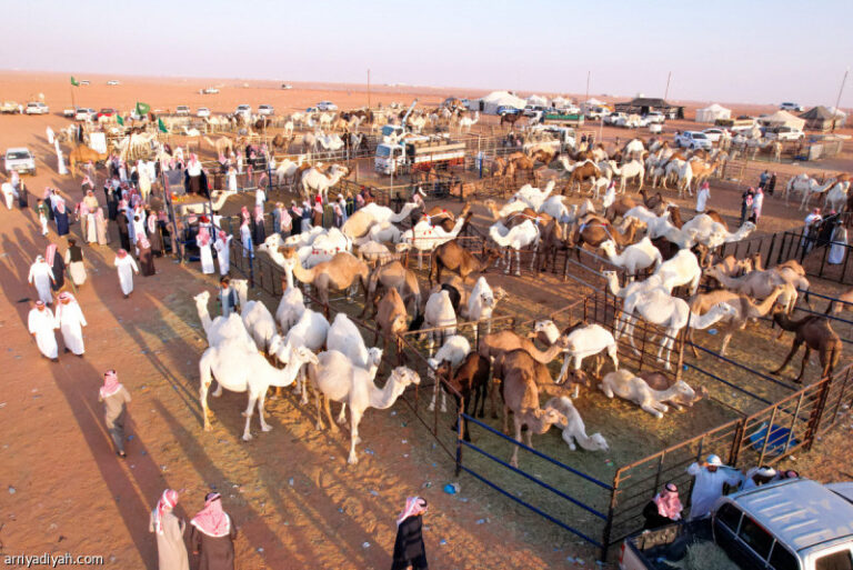 %d9%8a%d9%88%d9%85%d9%8a%d8%a7 %d8%a8%d9%8a%d8%b9 150 %d9%86%d8%a7%d9%82%d8%a9 %d9%81%d9%8a %d8%ad%d8%b1%d8%a7%d8%ac %d8%a7%d9%84%d8%b5%d9%8a%d8%a7%d9%87%d8%af