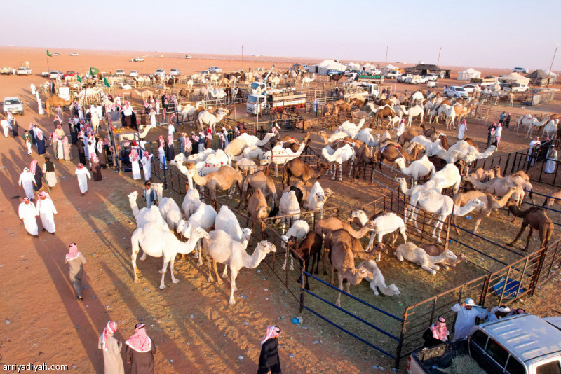 %d9%8a%d9%88%d9%85%d9%8a%d8%a7 %d8%a8%d9%8a%d8%b9 150 %d9%86%d8%a7%d9%82%d8%a9 %d9%81%d9%8a %d8%ad%d8%b1%d8%a7%d8%ac %d8%a7%d9%84%d8%b5%d9%8a%d8%a7%d9%87%d8%af