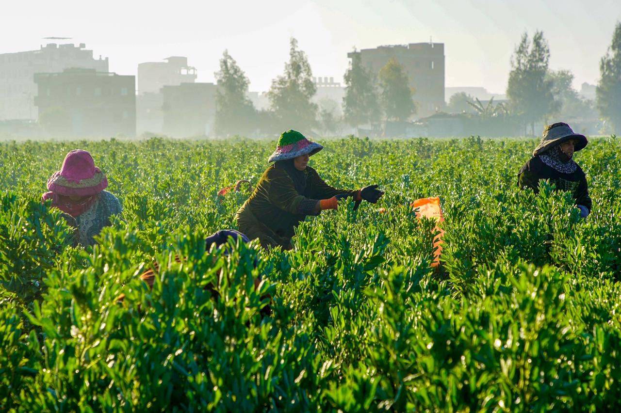 %d8%a3%d9%85%d9%8a%d9%86 %d8%a7%d8%aa%d9%81%d8%a7%d9%82%d9%8a%d8%a9 %d9%85%d9%83%d8%a7%d9%81%d8%ad%d8%a9 %d8%a7%d9%84%d8%aa%d8%b5%d8%ad%d8%b1 %d9%81%d8%ac%d9%88%d8%a9 %d9%83%d8%a8%d9%8a%d8%b1%d8%a9