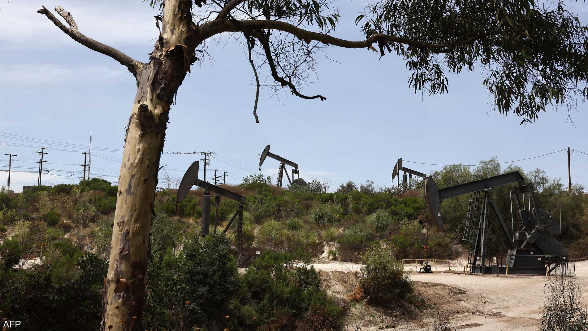 %d8%a3%d9%86%d8%a8%d8%a7%d8%a1 %d8%b9%d9%86 %d8%aa%d9%8a%d8%b3%d9%8a%d8%b1 %d8%a7%d9%84%d8%b3%d9%8a%d8%a7%d8%b3%d8%a9 %d8%a7%d9%84%d9%86%d9%82%d8%af%d9%8a%d8%a9 %d8%a7%d9%84%d8%b5%d9%8a%d9%86%d9%8a