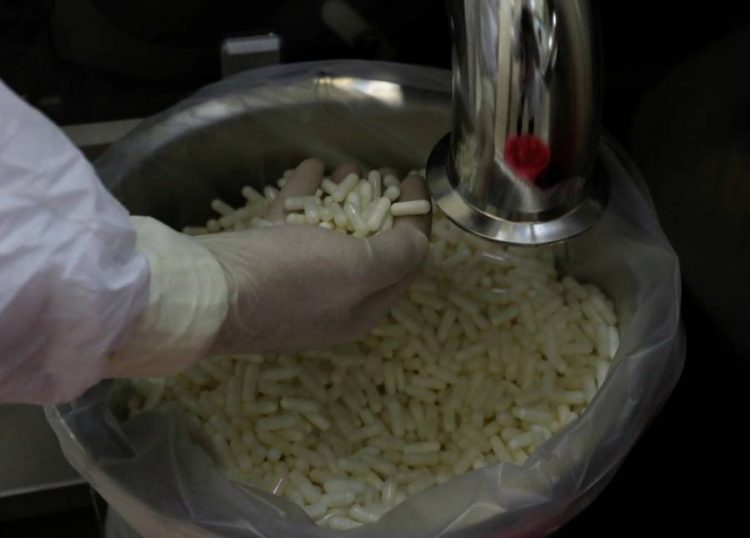 %d8%a5%d9%8a%d9%81%d8%a7 %d9%81%d8%a7%d8%b1%d9%85%d8%a7 %d8%b5%d8%a7%d8%af%d8%b1%d8%a7%d8%aa%d9%86%d8%a7 %d9%85%d9%86 %d8%a7%d9%84%d8%a5%d9%86%d8%b3%d9%88%d9%84%d9%8a%d9%86 %d9%81%d9%8a 2030 %d8%b3