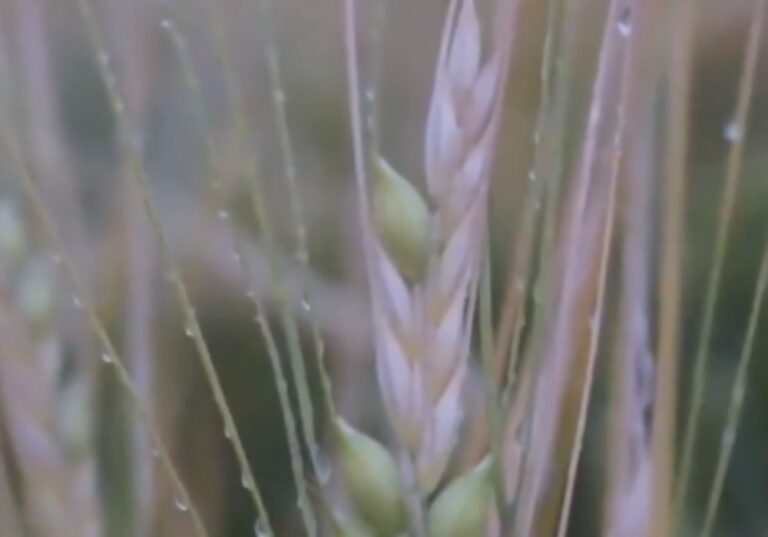 %d8%a7%d9%84%d8%a8%d9%8a%d8%a6%d8%a9 %d8%a7%d9%84%d8%a7%d9%84%d8%aa%d8%b2%d8%a7%d9%85 %d8%a8%d9%85%d9%88%d8%a7%d8%b9%d9%8a%d8%af %d8%a7%d9%84%d8%b2%d8%b1%d8%a7%d8%b9%d8%a9 %d9%8a%d8%ad%d9%85