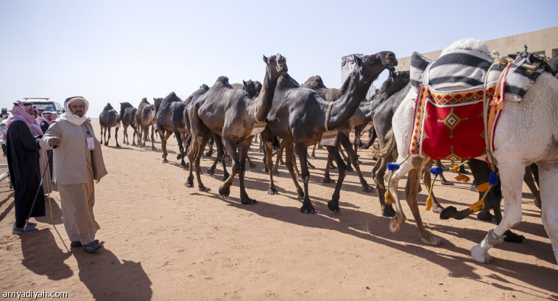 %d8%aa%d8%ac%d9%87%d9%8a%d8%b2 38 %d8%ae%d9%8a%d9%85%d8%a9 %d8%a3%d9%88%d8%b1%d9%88%d8%a8%d9%8a%d8%a9 %d9%81%d9%8a %d9%85%d9%87%d8%b1%d8%ac%d8%a7%d9%86 %d8%a7%d9%84%d8%a5%d8%a8%d9%84