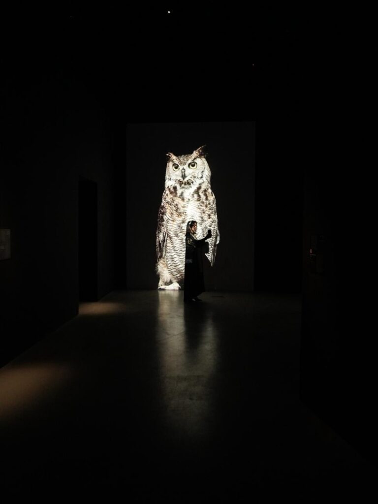 %d8%a7%d9%84%d8%a7%d8%ab%d9%86%d9%8a%d9%86 %d8%a7%d9%84%d9%85%d9%82%d8%a8%d9%84 %d9%85%d9%86%d8%a7%d9%82%d8%b4%d8%a7%d8%aa %d8%ad%d9%88%d9%84 %d8%aa%d8%b9%d8%b2%d9%8a%d8%b2 %d8%af%d9%88%d8%b1 %d8%a7