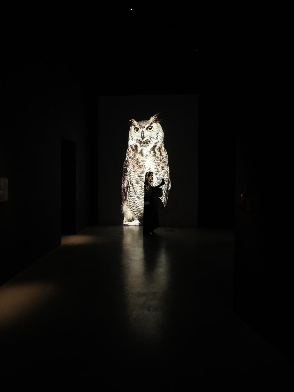 %d8%a7%d9%84%d8%a7%d8%ab%d9%86%d9%8a%d9%86 %d8%a7%d9%84%d9%85%d9%82%d8%a8%d9%84 %d9%85%d9%86%d8%a7%d9%82%d8%b4%d8%a7%d8%aa %d8%ad%d9%88%d9%84 %d8%aa%d8%b9%d8%b2%d9%8a%d8%b2 %d8%af%d9%88%d8%b1 %d8%a7