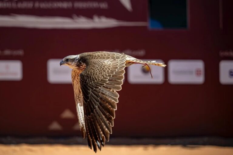 %d9%85%d9%86%d8%a7%d9%81%d8%b3%d8%a9 %d8%af%d9%88%d9%84%d9%8a%d8%a9 %d9%86%d8%aa%d8%a7%d8%a6%d8%ac %d8%a7%d9%84%d9%8a%d9%88%d9%85 %d8%a7%d9%84%d8%aa%d8%a7%d8%b3%d8%b9 %d9%84%d9%85%d9%87%d8%b1%d8%ac