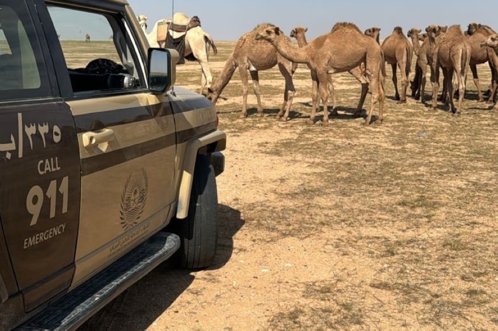 %d8%b9%d9%82%d9%88%d8%a8%d8%a916000 %d8%b1%d9%8a%d8%a7%d9%84 %d9%84%d9%83%d9%84 %d9%85%d8%aa%d8%b1 %d9%85%d8%b1%d8%a8%d8%b9 %d8%b6%d8%a8%d8%b7 %d9%85%d8%ae%d8%a7%d9%84%d9%81%d9%8a%d9%86 %d9%84