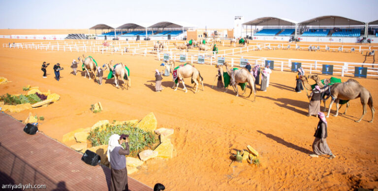 %d8%a7%d9%84%d8%ad%d8%a8%d9%8a%d8%b4 %d9%82%d9%8a%d9%85%d8%a9 %d8%a3%d8%ba%d9%84%d9%89 %d9%85%d9%88%d8%a7%d9%82%d8%b9 %d8%a7%d9%84%d9%85%d9%84%d8%a7%d9%83 100 %d8%a3%d9%84%d9%81