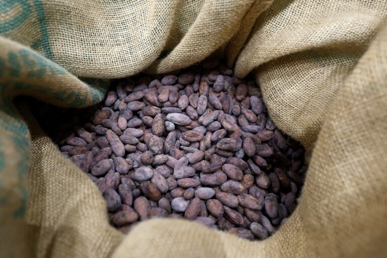 %d8%a3%d8%b3%d8%b9%d8%a7%d8%b1 %d8%a7%d9%84%d9%83%d8%a7%d9%83%d8%a7%d9%88 %d8%aa%d8%ad%d9%84%d9%82 %d9%81%d9%88%d9%82 12 %d8%a3%d9%84%d9%81 %d8%af%d9%88%d9%84%d8%a7%d8%b1 %d9%84%d9%84%d8%b7%d9%86