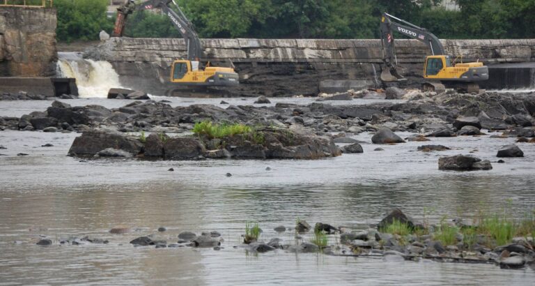 %d8%a7%d9%84%d8%b3%d8%b9%d9%88%d8%af%d9%8a%d8%a9 %d8%aa%d9%86%d8%b4%d8%a6 %d9%85%d8%b1%d9%83%d8%b2%d8%a7 %d8%af%d9%88%d9%84%d9%8a%d8%a7 %d9%84%d8%a3%d8%a8%d8%ad%d8%a7%d8%ab %d8%a7%d9%84%d9%85%d9%8a