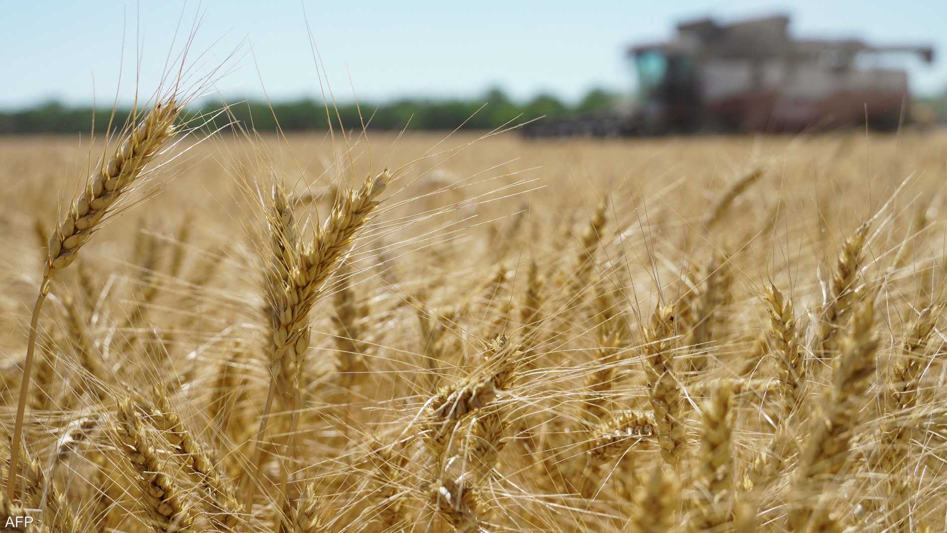 %d8%b1%d9%88%d9%8a%d8%aa%d8%b1%d8%b2 %d8%aa%d8%b9%d9%84%d9%8a%d9%82 %d8%a5%d9%85%d8%af%d8%a7%d8%af%d8%a7%d8%aa %d8%a7%d9%84%d9%82%d9%85%d8%ad %d8%a7%d9%84%d8%b1%d9%88%d8%b3%d9%8a%d8%a9 %d8%a5%d9%84