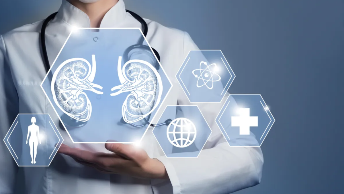 13 %d8%b7%d8%b9%d8%a7%d9%85%d8%a7%d9%8b %d8%a8%d8%b3%d9%8a%d8%b7%d8%a7%d9%8b %d9%8a%d8%b3%d8%a7%d8%b9%d8%af %d9%81%d9%8a %d8%aa%d8%a3%d9%85%d9%8a%d9%86 %d8%b5%d8%ad%d8%a9 %d8%a7%d9%84%d9%83%d9%84