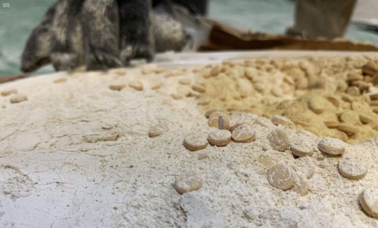 %d8%ad%d8%b1%d8%b3 %d8%a7%d9%84%d8%ad%d8%af%d9%88%d8%af %d9%8a%d8%ad%d8%a8%d8%b7 %d9%85%d8%ad%d8%a7%d9%88%d9%84%d8%a9 %d8%aa%d9%87%d8%b1%d9%8a%d8%a8 1 3 %d8%b7%d9%86 %d9%85%d9%86 %d9%85%d8%a7%d8%af