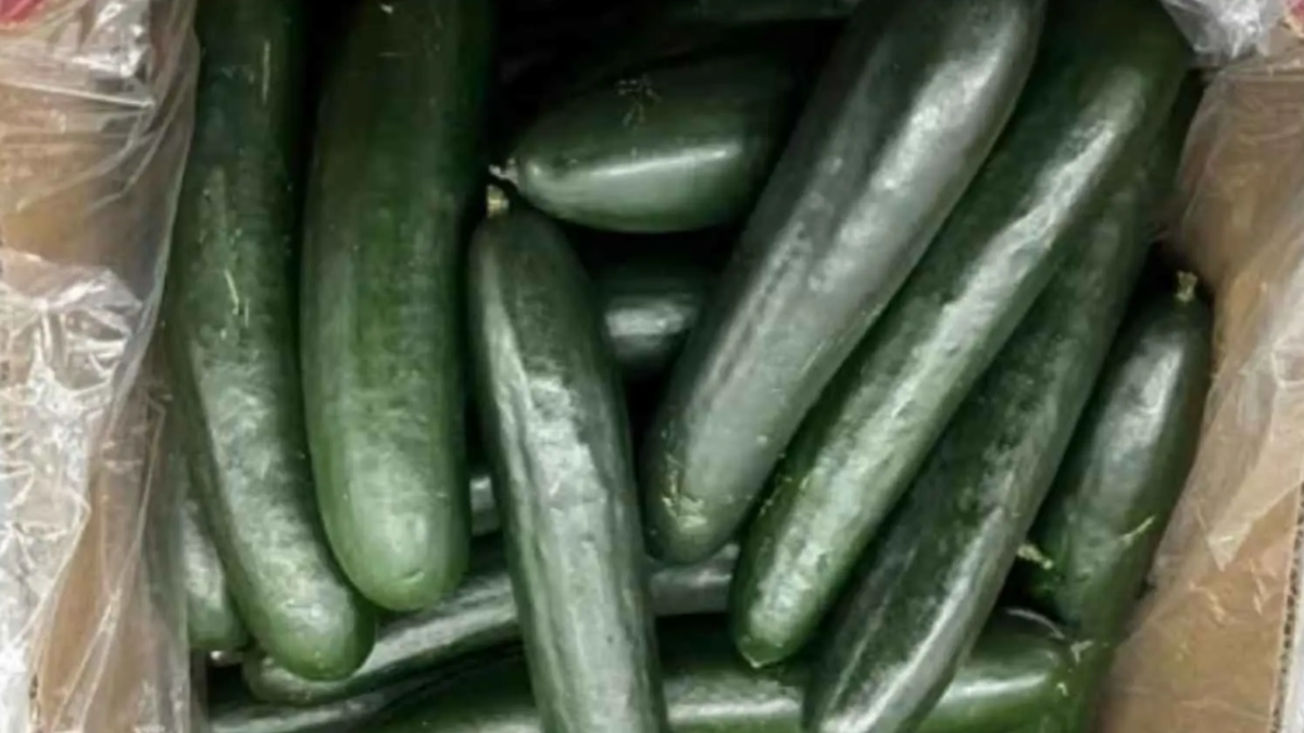 %d8%a8%d8%b3%d8%a8%d8%a8 %d8%a7%d9%84%d8%b3%d8%a7%d9%84%d9%85%d9%88%d9%86%d9%8a%d9%84%d8%a7 %d8%b3%d8%ad%d8%a8 %d8%a7%d9%84%d8%ae%d9%8a%d8%a7%d8%b1 %d9%85%d9%86 %d9%88%d9%84%d8%a7%d9%8a%d8%a7%d8%aa