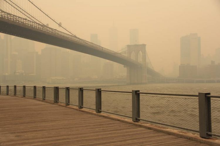 %d9%86%d9%8a%d9%88%d9%8a%d9%88%d8%b1%d9%83 %d8%aa%d9%8f%d8%ba%d8%b1%d9%91%d9%85 %d8%b4%d8%b1%d9%83%d8%a7%d8%aa %d8%a7%d9%84%d9%88%d9%82%d9%88%d8%af %d8%a7%d9%84%d8%a3%d8%ad%d9%81%d9%88%d8%b1%d9%8a 75