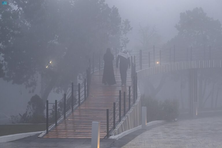 %d8%b6%d8%a8%d8%a7%d8%a8 %d9%88%d9%85%d9%88%d8%ac%d8%a9 %d8%a8%d8%a7%d8%b1%d8%af%d8%a9 %d8%ae%d8%b1%d9%8a%d8%b7%d8%a9 %d8%b7%d9%82%d8%b3 %d8%a7%d9%84%d9%85%d9%85%d9%84%d9%83%d8%a9 %d9%81%d9%8a