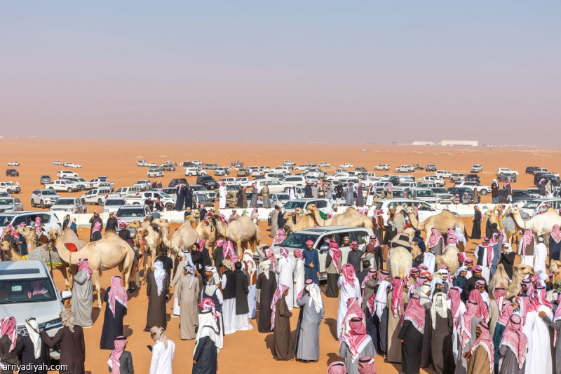 %d8%a7%d8%a8%d9%86 %d8%b3%d9%8a%d8%a7%d9%81 %d8%a7%d9%84%d8%aa%d9%82%d9%86%d9%8a%d8%a9 %d8%a7%d9%84%d8%ad%d8%af%d9%8a%d8%ab%d8%a9 %d8%ad%d8%a7%d8%b1%d8%a8%d8%aa %d8%a7%d9%84%d8%b9%d8%a8%d8%ab