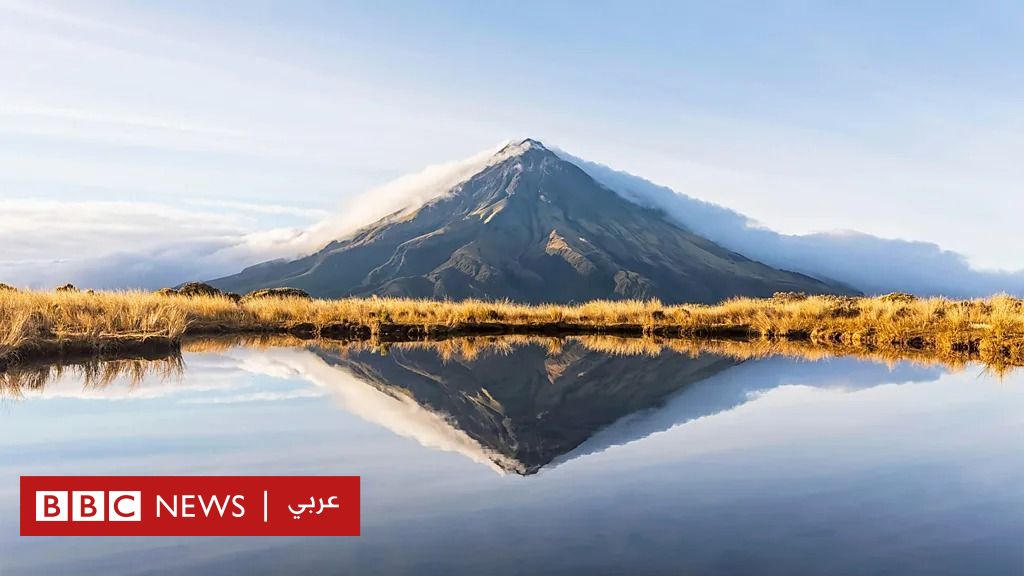 %d9%85%d8%b9 %d9%86%d9%87%d8%a7%d9%8a%d8%a9 %d8%b9%d8%a7%d9%85 2024 %d8%a5%d9%86%d8%ac%d8%a7%d8%b2%d8%a7%d8%aa %d8%aa%d8%ad%d9%82%d9%82%d8%aa %d9%81%d9%8a %d8%a7%d9%84%d9%85%d9%86%d8%a7%d8%ae %d9%88