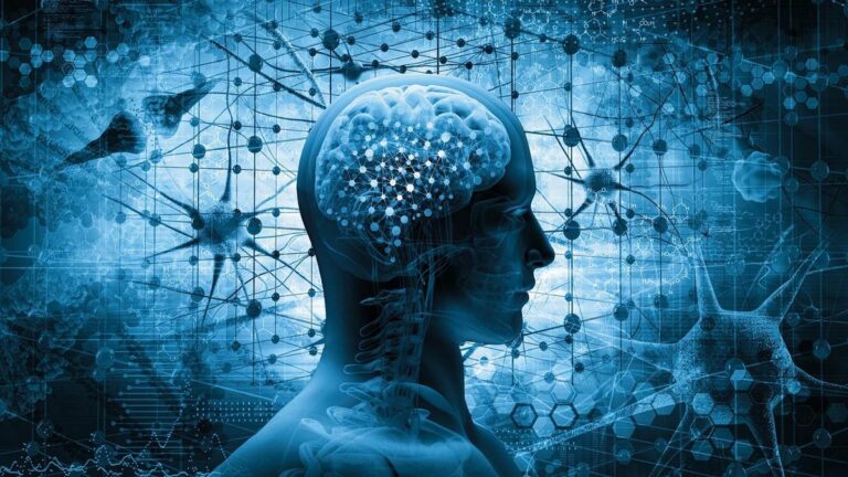 %d8%a7%d8%ae%d8%aa%d8%b1%d8%a7%d9%82 %d8%b7%d8%a8%d9%8a %d8%aa%d8%ad%d9%81%d9%8a%d8%b2 %d8%a7%d9%84%d8%af%d9%85%d8%a7%d8%ba %d8%a3%d8%b9%d8%a7%d8%af %d9%84%d9%85%d8%b1%d9%8a%d8%b6%d9%8a%d9%86 %d8%a8