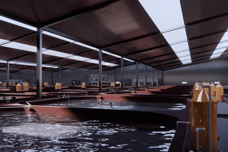 %d8%b4%d8%b1%d8%a7%d9%83%d8%a9 %d8%a8%d9%8a%d9%86 %d8%a7%d9%84%d9%82%d8%a7%d8%a8%d8%b6%d8%a9 Adq %d9%88%d8%b4%d8%b1%d9%83%d8%a9 Aqua Development