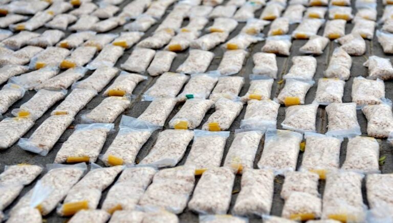 %d8%b6%d8%a8%d8%b7 %d9%85%d8%a4%d8%b3%d8%b3%d8%a9 %d9%84%d8%a7%d8%b3%d8%aa%d9%8a%d8%b1%d8%a7%d8%af %d8%a7%d9%84%d9%86%d8%ad%d9%84 %d8%aa%d9%85%d8%aa%d9%87%d9%86 %d8%aa%d9%87%d8%b1%d9%8a%d8%a8 %d8%a7