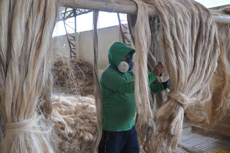 %d8%b4%d8%b1%d9%83%d8%a9 %d9%8a%d8%a7%d8%a8%d8%a7%d9%86%d9%8a%d8%a9 %d9%84%d9%88 %d8%a8%d8%b9%d9%86%d8%a7 %d9%83%d9%84 %d8%a3%d8%b5%d9%88%d9%84%d9%86%d8%a7 %d9%84%d9%86 %d8%aa%d9%83%d9%81%d9%8a