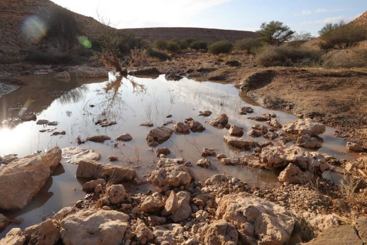 %d8%ae%d8%b7%d8%b7 %d9%85%d9%83%d8%a7%d9%81%d8%ad%d8%a9 %d8%a7%d9%84%d8%aa%d8%b5%d8%ad%d8%b1 %d9%83%d9%88%d8%a8 16 %d8%aa%d9%86%d8%b7%d9%84%d9%82 %d9%81%d9%8a %d8%a7%d9%84%d8%b3%d8%b9%d9%88%d8%af