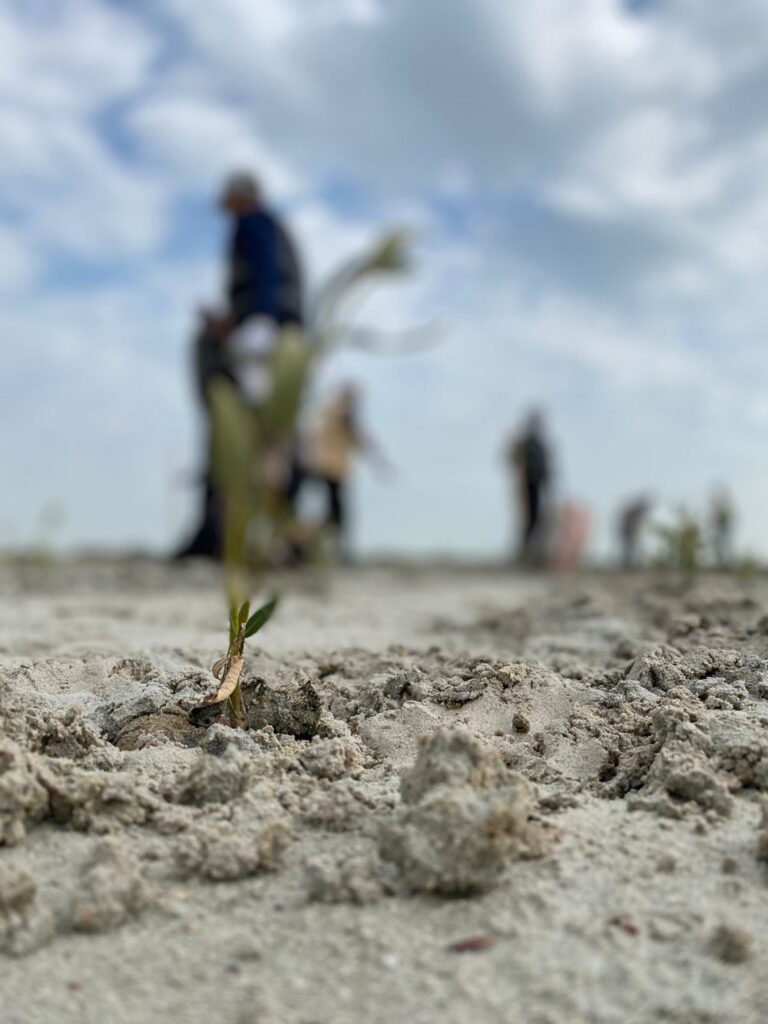 %d9%86%d8%a8%d8%b6 %d8%a7%d9%84%d8%a3%d8%b1%d8%b6 %d9%85%d8%a8%d8%a7%d8%af%d8%b1%d8%a9 %d9%84%d8%aa%d8%b9%d8%b2%d9%8a%d8%b2 %d8%a7%d9%84%d9%88%d8%b9%d9%8a %d8%a7%d9%84%d9%85%d8%ac%d8%aa%d9%85