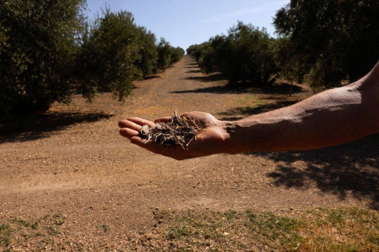 %d8%a7%d9%84%d8%b2%d8%b1%d8%a7%d8%b9%d8%a9 %d8%a7%d9%84%d8%aa%d8%ac%d8%af%d9%8a%d8%af%d9%8a%d8%a9 %d8%ad%d9%84 %d9%85%d9%82%d8%aa%d8%b1%d8%ad %d9%84%d8%aa%d8%af%d9%87%d9%88%d8%b1 %d8%a7%d9%84%d8%a3