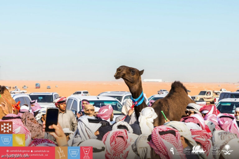 %d9%81%d8%a6%d8%a9 %d8%a7%d9%84%d8%af%d9%82 %d8%a3%d8%ac%d9%88%d8%a7%d8%a1 %d8%aa%d9%86%d8%a7%d9%81%d8%b3%d9%8a%d8%a9 %d9%88%d8%ad%d8%b6%d9%88%d8%b1 %d9%83%d8%a8%d9%8a%d8%b1