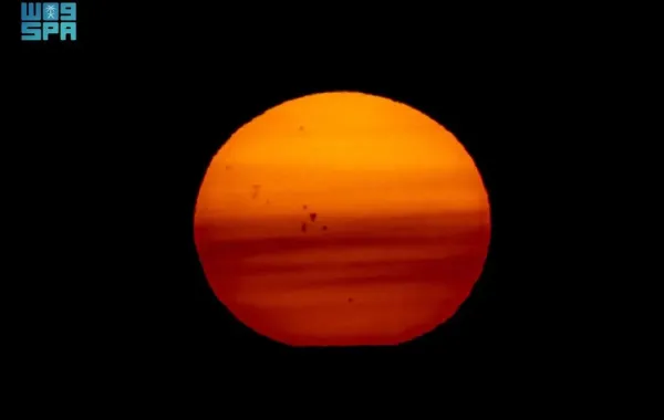 %d9%84%d9%85%d8%ad%d8%a8%d9%8a %d8%a7%d9%84%d8%b8%d9%88%d8%a7%d9%87%d8%b1 %d8%a7%d9%84%d9%81%d9%84%d9%83%d9%8a%d8%a9 %d8%a8%d9%82%d8%b9 %d8%b4%d9%85%d8%b3%d9%8a%d8%a9 %d8%aa%d8%b8%d9%87%d8%b1 %d9%81