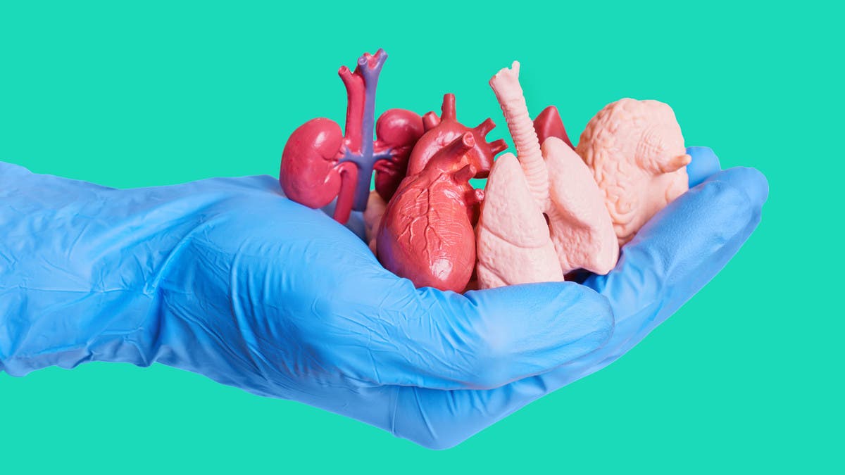 %d8%a5%d8%ad%d8%a7%d9%84%d8%a9 %d9%83%d9%88%d8%a7%d9%81%d9%8a%d8%b1%d8%a9 %d9%85%d8%b5%d8%b1%d9%8a%d8%a9 %d9%84%d9%84%d9%85%d8%ad%d8%a7%d9%83%d9%85%d8%a9 %d9%85%d9%86%d8%b4%d9%88%d8%b1 %d9%83