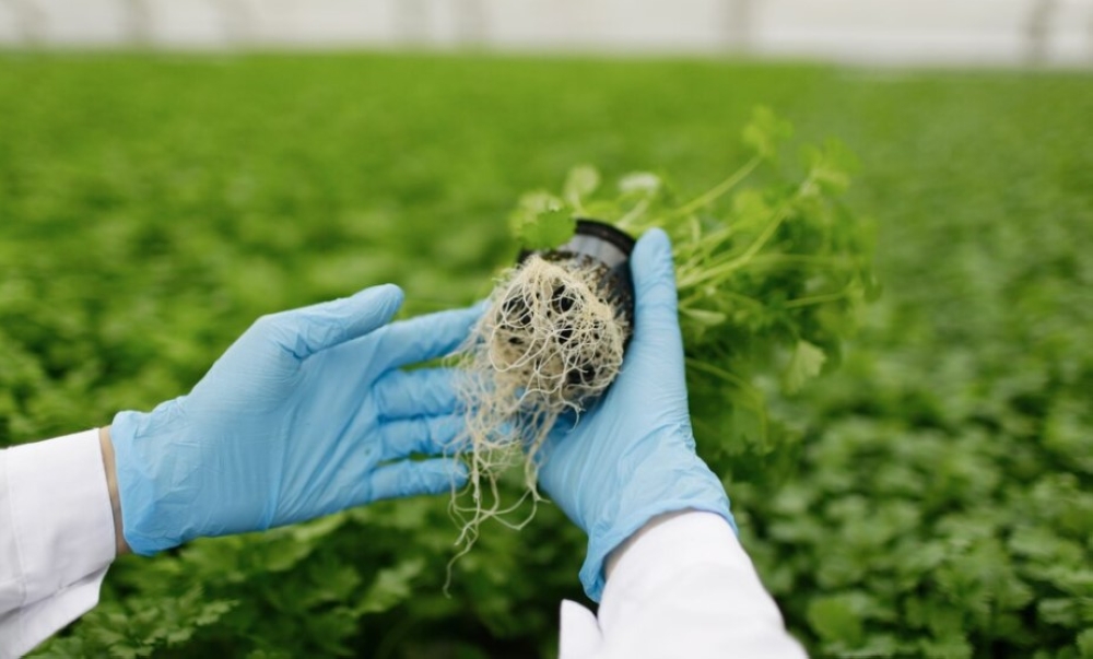 %d8%ba%d9%8a%d8%b1 %d8%b6%d8%a7%d8%b1%d8%a9 %d9%88%d8%aa%d9%88%d8%a7%d9%81%d9%82 %d8%a7%d9%84%d8%b4%d8%b1%d9%8a%d8%b9%d8%a9 %d8%a7%d8%b4%d8%aa%d8%b1%d8%a7%d8%b7%d8%a7%d8%aa %d8%ac%d8%af%d9%8a%d8%af