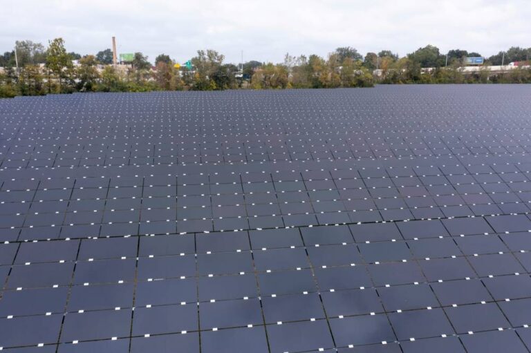 %d8%a7%d8%a8%d8%aa%d8%af%d8%a7%d8%a1 %d9%85%d9%86 %d9%8a%d9%86%d8%a7%d9%8a%d8%b1 %d8%a3%d9%85%d8%b1%d9%8a%d9%83%d8%a7 %d8%aa%d8%b2%d9%8a%d8%af %d8%a7%d9%84%d8%b1%d8%b3%d9%88%d9%85 %d8%b9%d9%84%d9%89