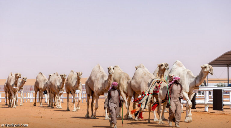 %d9%85%d9%86%d8%a7%d9%81%d8%b3%d8%a7%d8%aa %d8%a7%d9%84%d8%ac%d9%84 %d8%a7%d9%84%d8%b1%d8%a7%d8%ac%d8%ad%d9%8a %d9%88%d8%a7%d8%a8%d9%86 %d8%ac%d8%ae%d8%af%d8%a8 %d9%88%d8%a7%d9%84%d8%ad