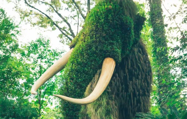 %d8%a7%d9%83%d8%aa%d8%b4%d8%a7%d9%81 %d8%a8%d9%82%d8%a7%d9%8a%d8%a7 %d9%85%d8%a7%d9%85%d9%88%d8%ab %d8%b1%d8%b6%d9%8a%d8%b9 %d8%a8%d8%b1%d9%88%d8%b3%d9%8a%d8%a7 %d9%85%d8%a7 %d8%af%d9%88%d8%b1